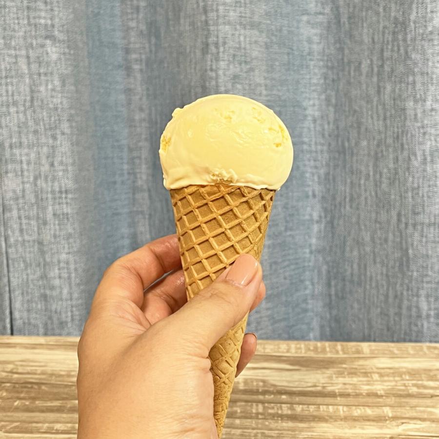 ユキワ YUKIWA 18-8 アイスクリーム ボーラー ♯14 アイスクリームスクープ アイススクープ アイスクリームデッパー アイスデッパ―  アイスクリームディッシャー