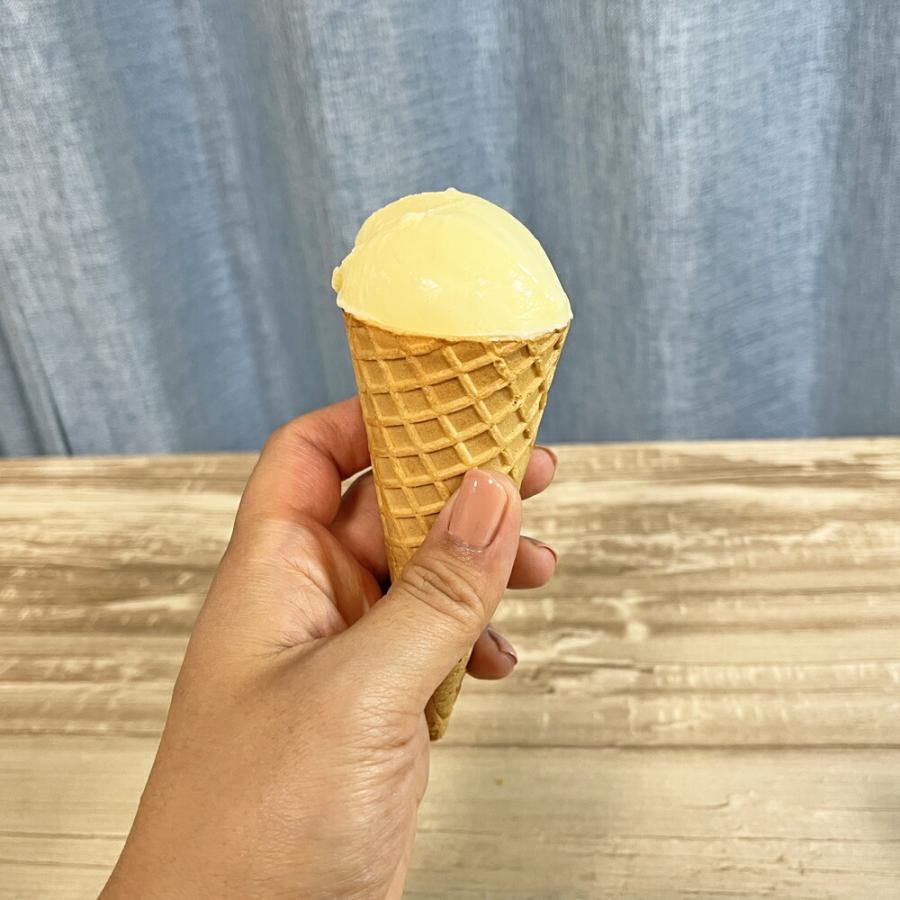 ICE BOLLER ICE CREAM DIPPER 5本セット YUKIWA（ユキワ） アイスクリーム ボーラー ♯18 アイスクリーム
