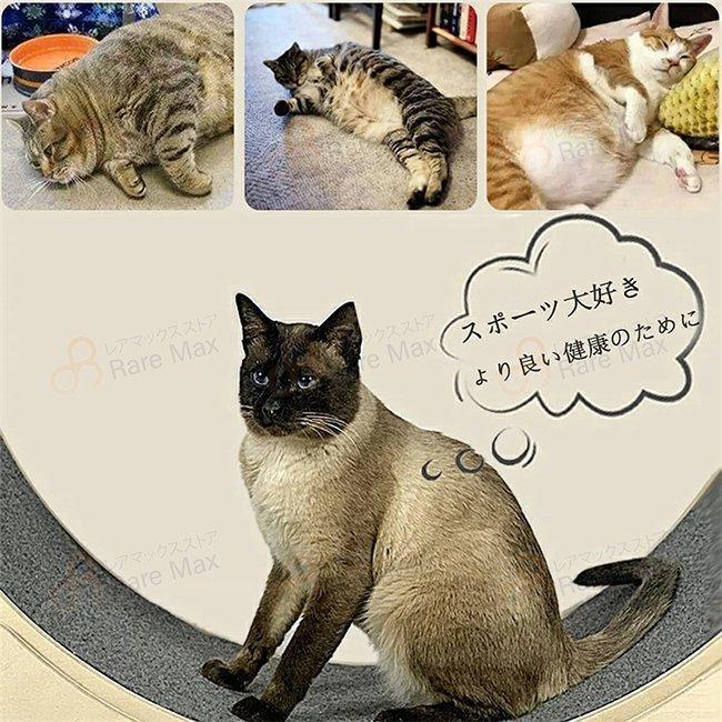 【〜6/6まで出品】 キャットホイール キャット 低騒音 ランニングホイール回し車 省スペース ダイエット 猫 運動不足解消 おもちゃ 肉球に優しい 完成品 組み立て不要 【O1156218662】(41785円)
