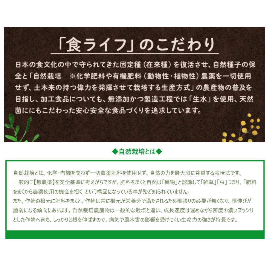 完全無農薬 北海道産乾燥野菜 切り干し人参（千切りタイプ）20g×3袋