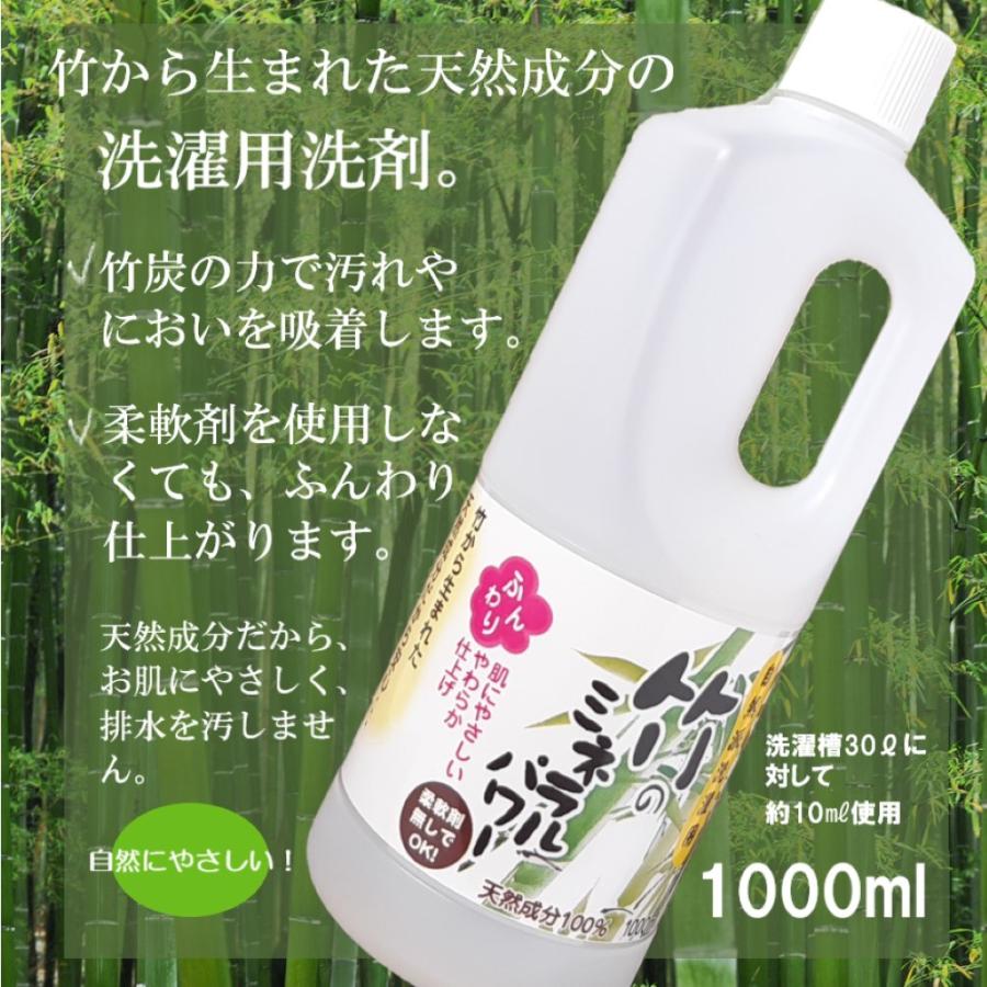 自然派洗濯用洗剤 竹のミネラルパワー(洗濯用) 1000ml : 食ライフ
