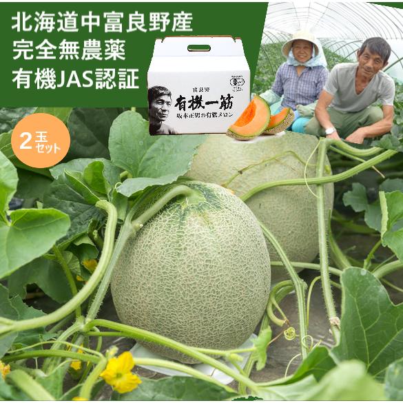 有機JAS認証 坂本正男の有機メロン2玉 北海道中富良野産「富良野
