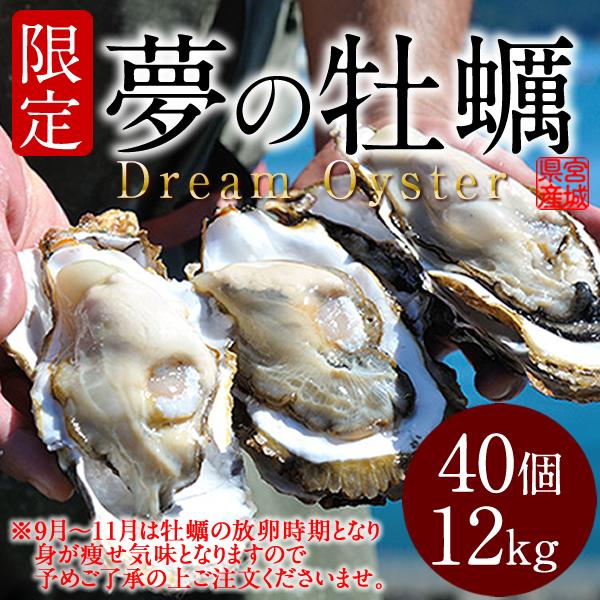 生牡蠣 殻付き 特大 夢牡蠣 40個 生食用 生ガキ 大粒生牡蠣 特大 バーベキュー［お歳暮 ギフト プレゼント］