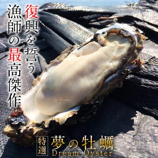 生牡蠣 殻付き 特大 夢牡蠣 40個 生食用 生ガキ 大粒生牡蠣 特大 バーベキュー［お歳暮 ギフト プレゼント］ 生牡蠣 特大 40個