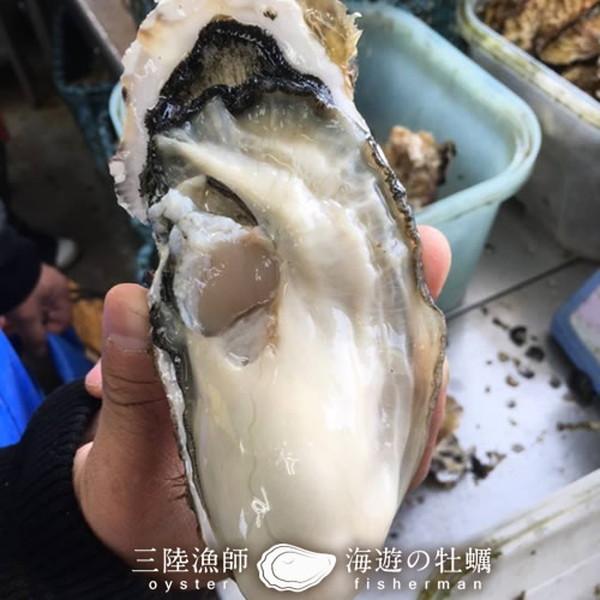 生牡蠣 殻付き 特大 夢牡蠣 40個 生食用 生ガキ 大粒生牡蠣 特大 バーベキュー［お歳暮 ギフト プレゼント］ 生牡蠣 特大 40個