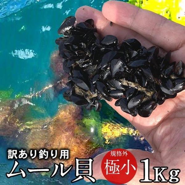 充実の品 1kg 釣り餌用 えさ用 タイ 人気 極小 食だより 朝どり ムール貝 磯釣り 殻付き 活きムール貝 通販 チヌ 三陸 訳あり 魚のエサ Japanfoodつりえさ用 石鯛 貝類