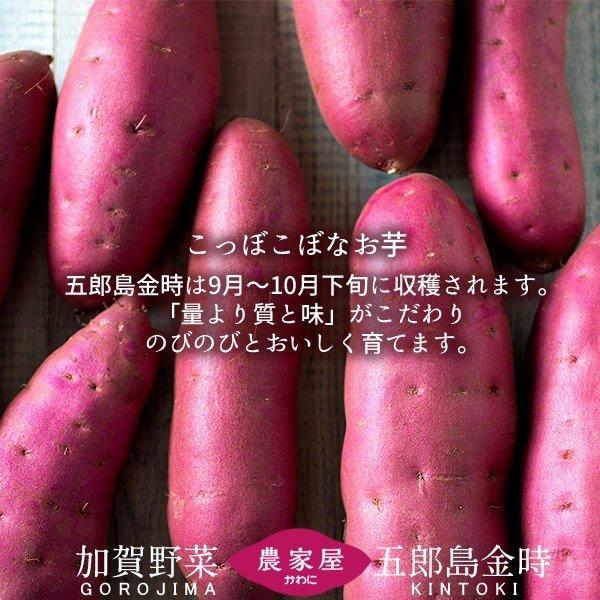 【クーポン】 さつまいも 焼き芋 五郎島金時 1kg 業務用 ダイスカット（1cm）×8袋 石川県産 加賀野菜 さつま芋 農家屋直送［お歳暮 ギフト プレゼント］ 【D2129197840】(12750円)