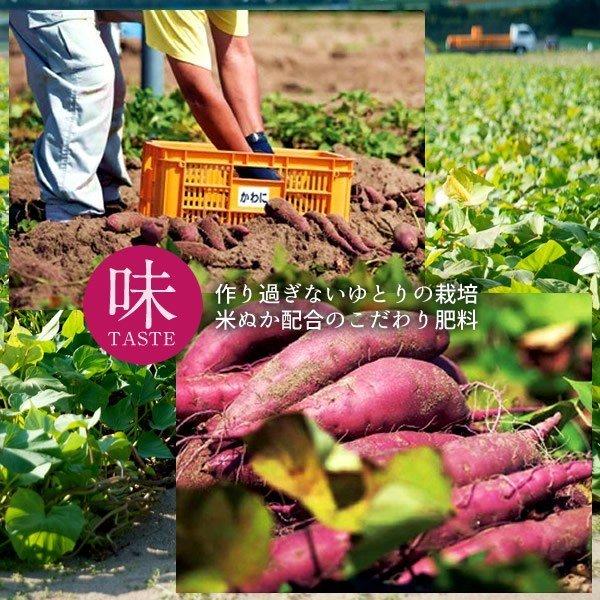 【クーポン】 さつまいも 焼き芋 五郎島金時 1kg 業務用 ダイスカット（1cm）×8袋 石川県産 加賀野菜 さつま芋 農家屋直送［お歳暮 ギフト プレゼント］ 【D2129197840】(12750円)