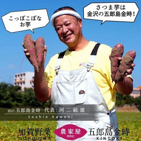 【クーポン】 さつまいも 焼き芋 五郎島金時 1kg 業務用 ダイスカット（1cm）×8袋 石川県産 加賀野菜 さつま芋 農家屋直送［お歳暮 ギフト プレゼント］ 【D2129197840】(12750円)