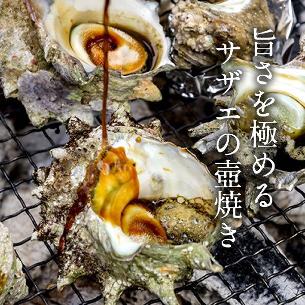 輝く高品質な サザエ 天然活さざえ 2kg 個前後 鳥取県 海の幸 日本海 お刺身 壺焼き qバーベキュー 送料無料 Lumosplus Com