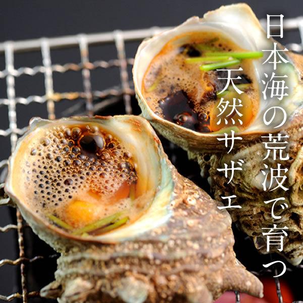 輝く高品質な サザエ 天然活さざえ 2kg 個前後 鳥取県 海の幸 日本海 お刺身 壺焼き qバーベキュー 送料無料 Lumosplus Com