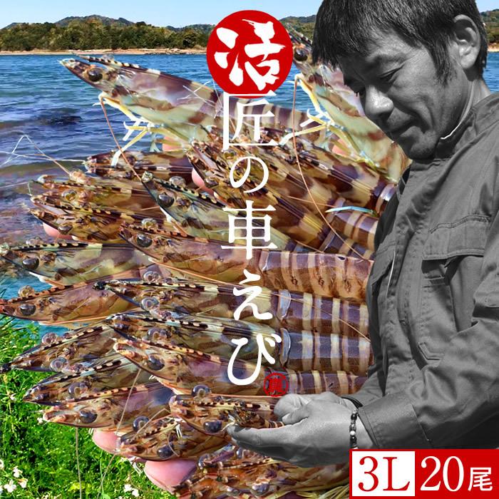 超人気の エビ 特大 車海老 活 天草 3l 尾入 匠の車えび 刺身用 しゃぶしゃぶ 熊本 生き活き クルマエビ 人気 ギフト 母の日 ギフト ポイント10倍 Kuljic Com