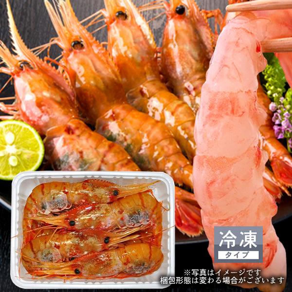 最大 Offクーポン ボタンエビ ボタン海老 お刺身 ぼたんえび 特大 500g 新鮮 北海道 大型 牡丹海老 格安 産直 ご飯のお供 お取り寄せ 人気 ギフト ロシア産 御歳暮 Wantannas Go Id