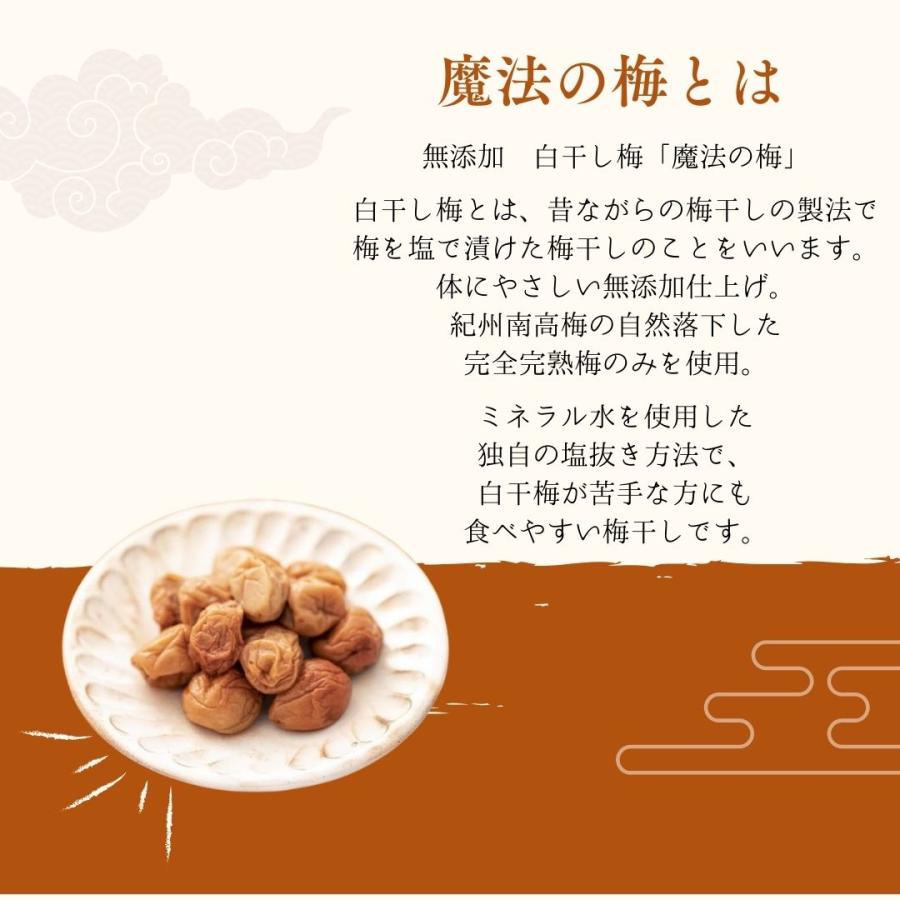梅干し 贈答用 魔法の梅 ごほうび梅 松 塩分約15％ 500g 和歌山県産 無添加 南高梅 産地直送_1