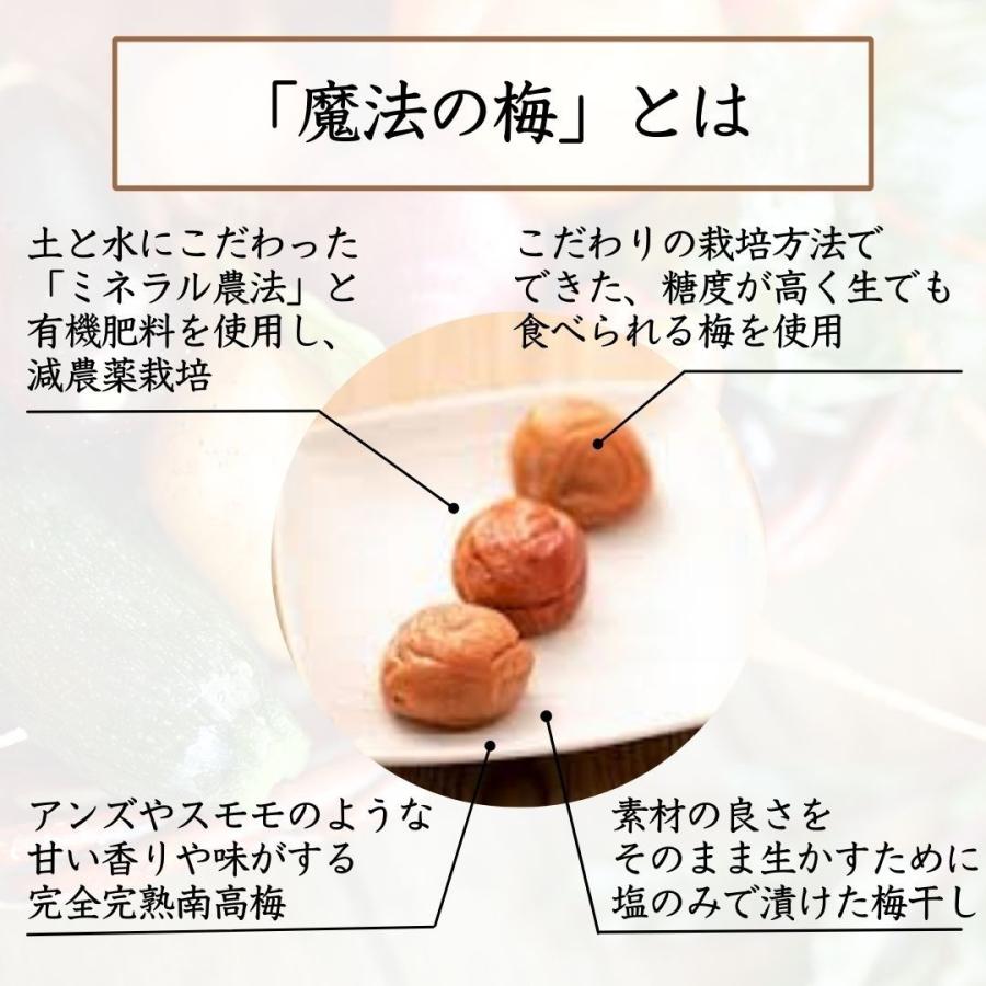 梅干し 贈答用 魔法の梅 ごほうび梅 松 塩分約15％ 500g 和歌山県産 無添加 南高梅 産地直送_2