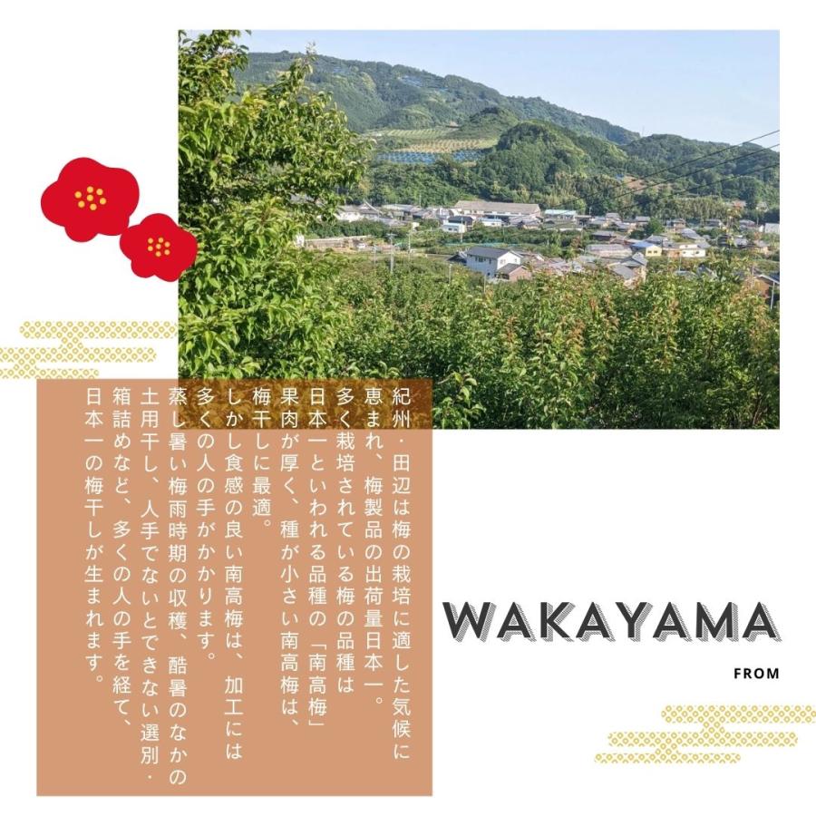 梅干し 贈答用 魔法の梅 ごほうび梅 松 塩分約15％ 500g 和歌山県産 無添加 南高梅 産地直送_3
