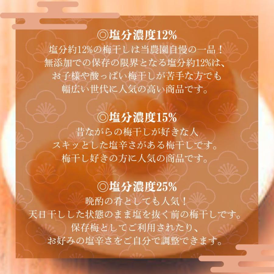 梅干し 贈答用 魔法の梅 ごほうび梅 松 塩分約15％ 500g 和歌山県産 無添加 南高梅 産地直送_5