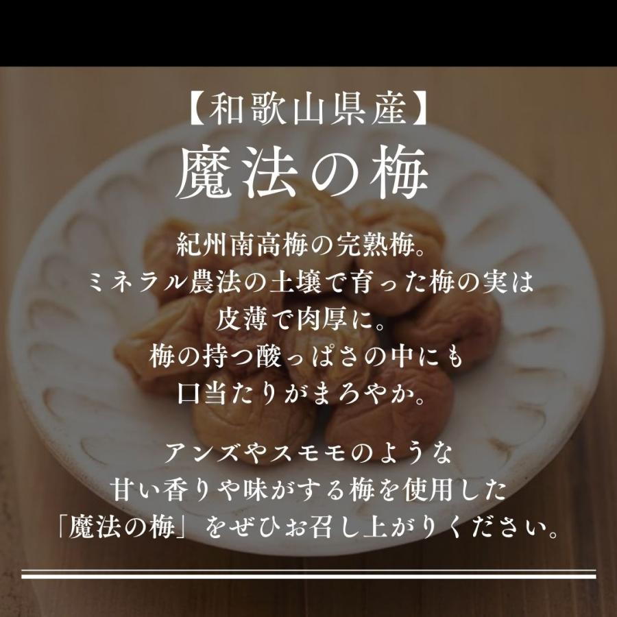 梅干し 贈答用 魔法の梅 ごほうび梅 松 塩分約15％ 500g 和歌山県産 無添加 南高梅 産地直送_7
