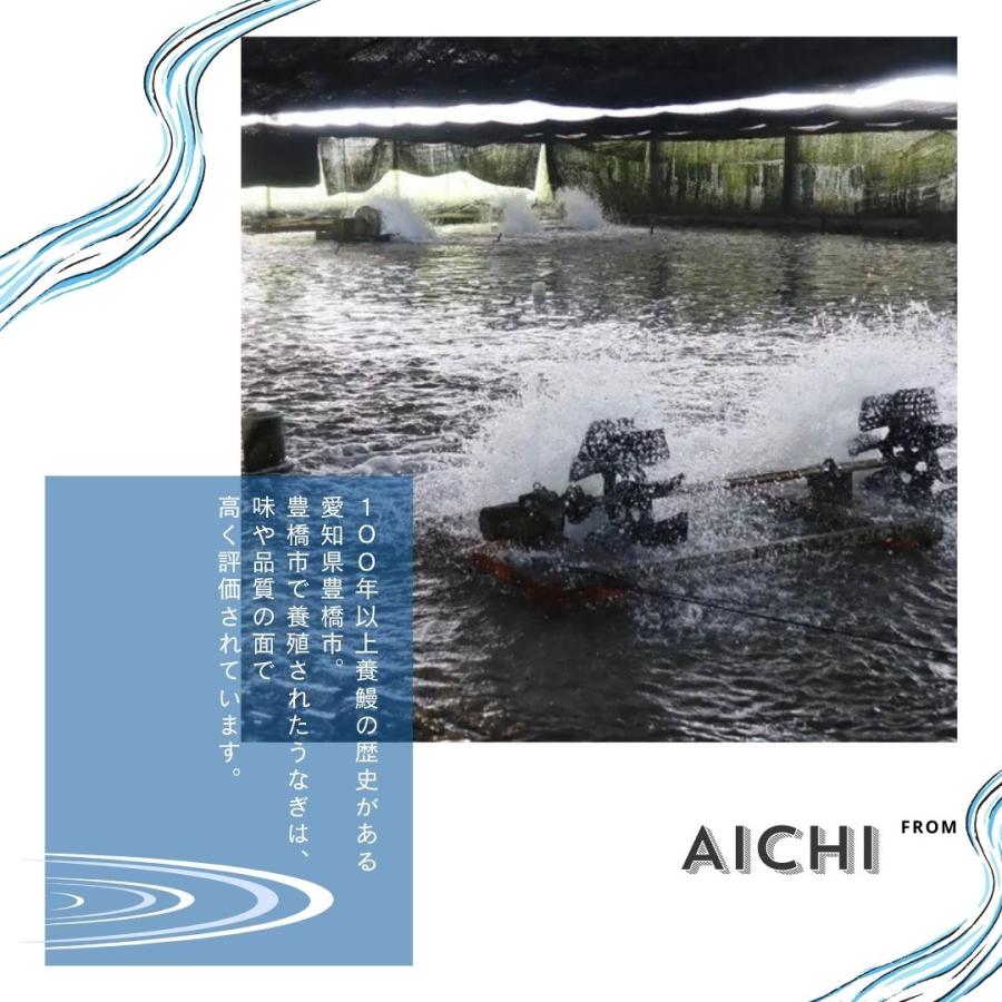 丸和うなぎ 白焼き (普通サイズ 1尾 130g) X 2尾 愛知県産 臭みが