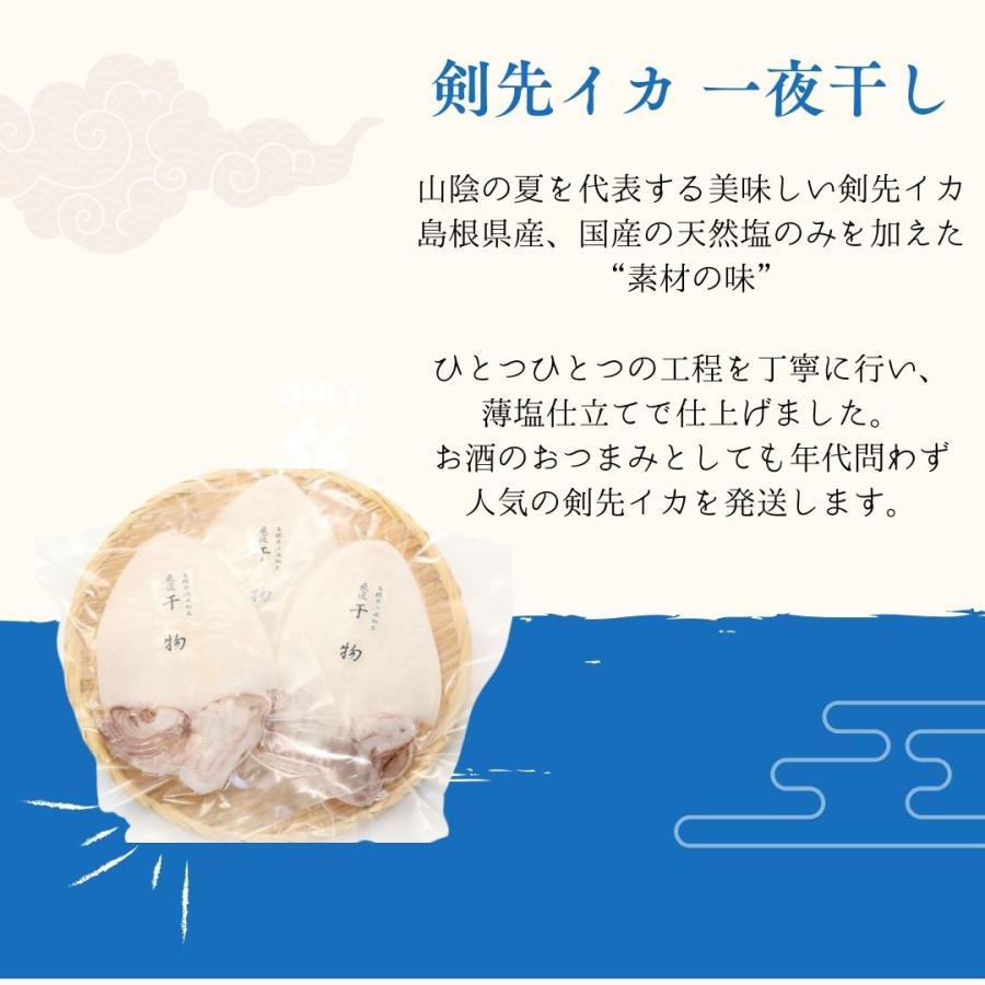 イカ一夜干し 5尾  剣先イカ 干物 おつまみ 島根県 天然塩 産地直送 お取り寄せ_1