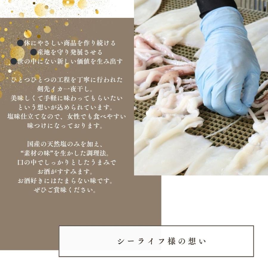 イカ一夜干し 5尾  剣先イカ 干物 おつまみ 島根県 天然塩 産地直送 お取り寄せ_5