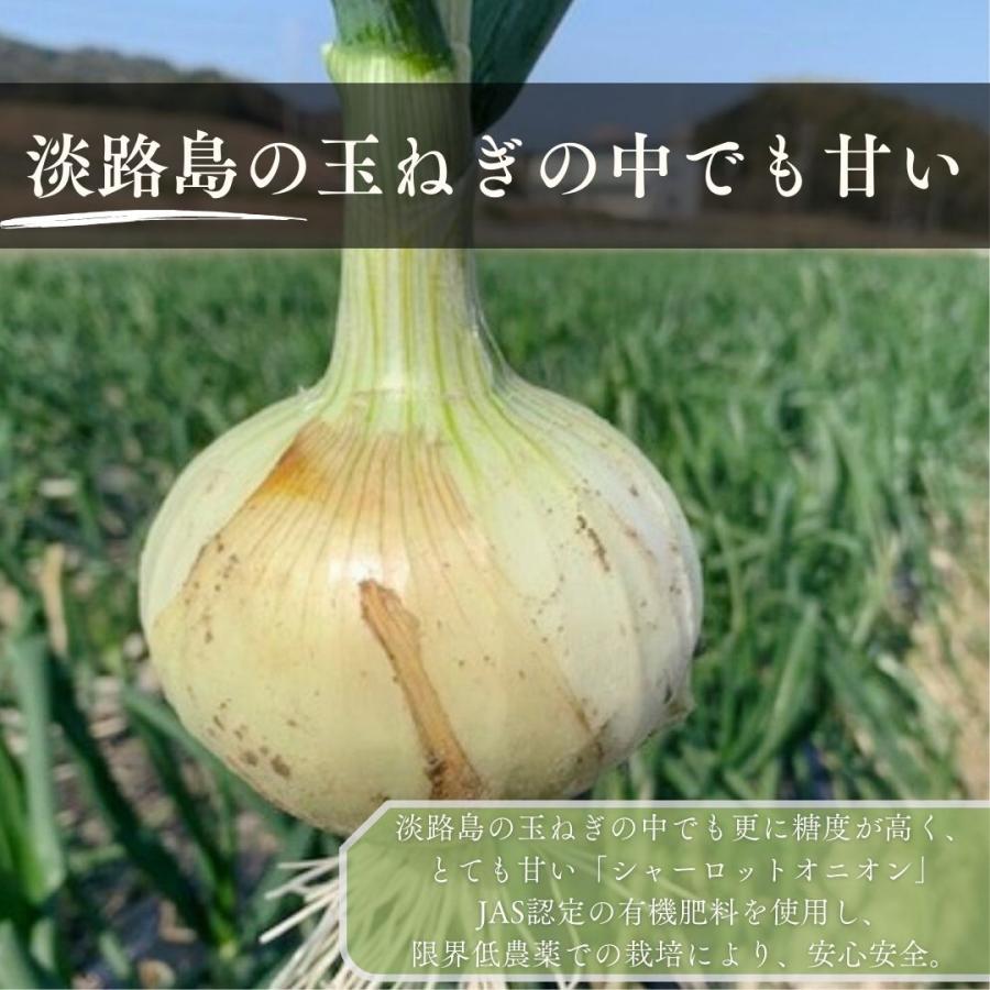 新玉ねぎ 10kg 淡路島 たまねぎ シャーロットオニオン 有機肥料 産地直送 お取り寄せ ギフトの画像