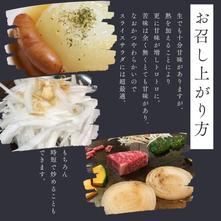 新玉ねぎ 10kg 淡路島 たまねぎ シャーロットオニオン 有機肥料 産地直送 お取り寄せ ギフトの画像