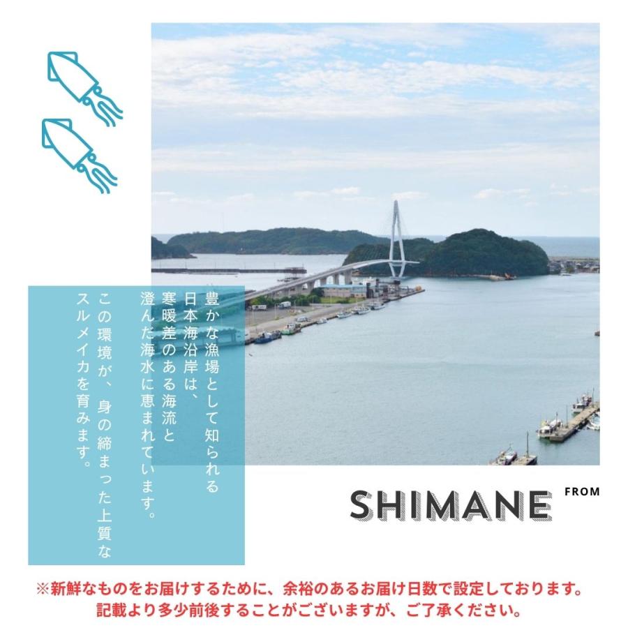 イカ一夜干し 1.2kg するめ スルメイカ 干物 おつまみ カット済 島根県 産地直送 お取り寄せの画像