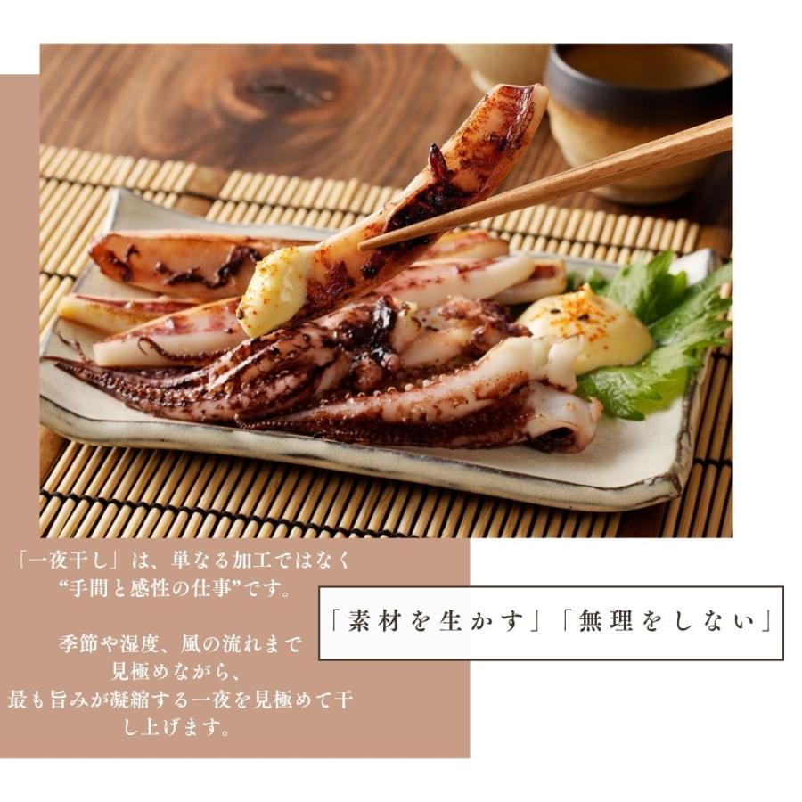 イカ一夜干し 1.2kg するめ スルメイカ 干物 おつまみ カット済 島根県 産地直送 お取り寄せの画像