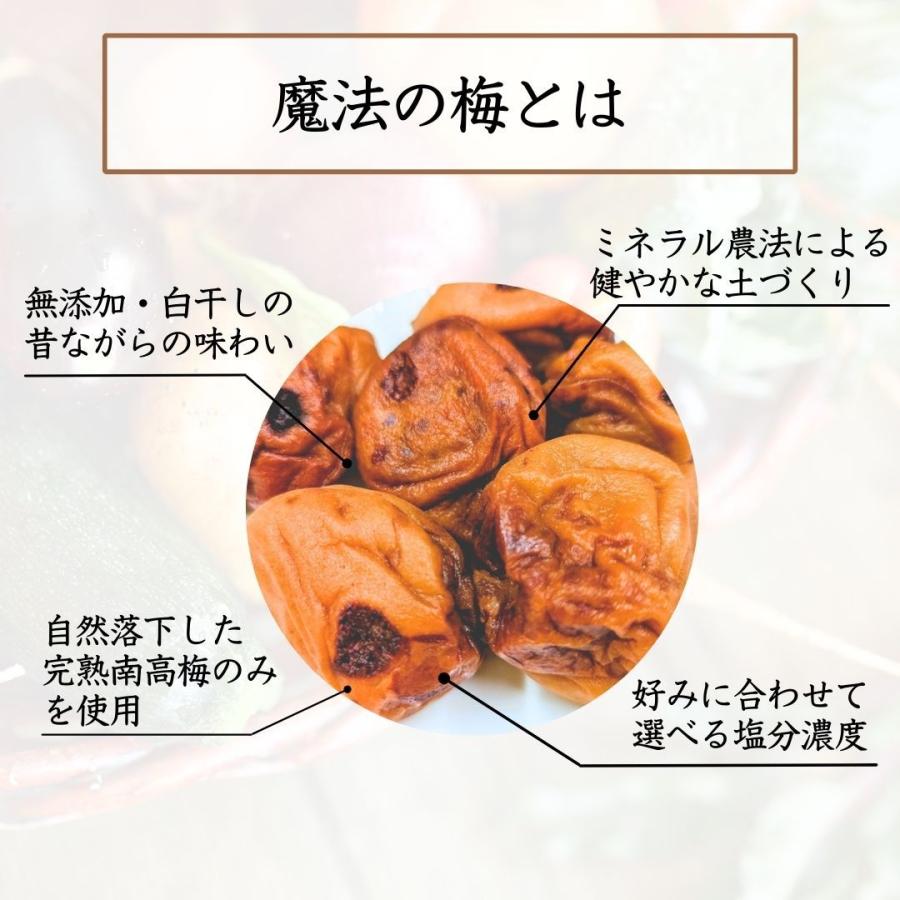 梅干し 無添加 魔法の梅 塩分25％ 1.1kg 和歌山県産 白干し梅 南高梅 産地直送 お取り寄せ ギフト_2