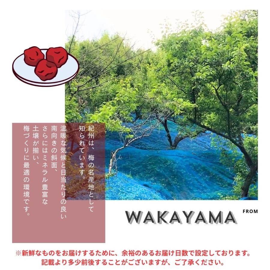 梅干し 無添加 魔法の梅 塩分25％ 1.1kg 和歌山県産 白干し梅 南高梅 産地直送 お取り寄せ ギフト_3