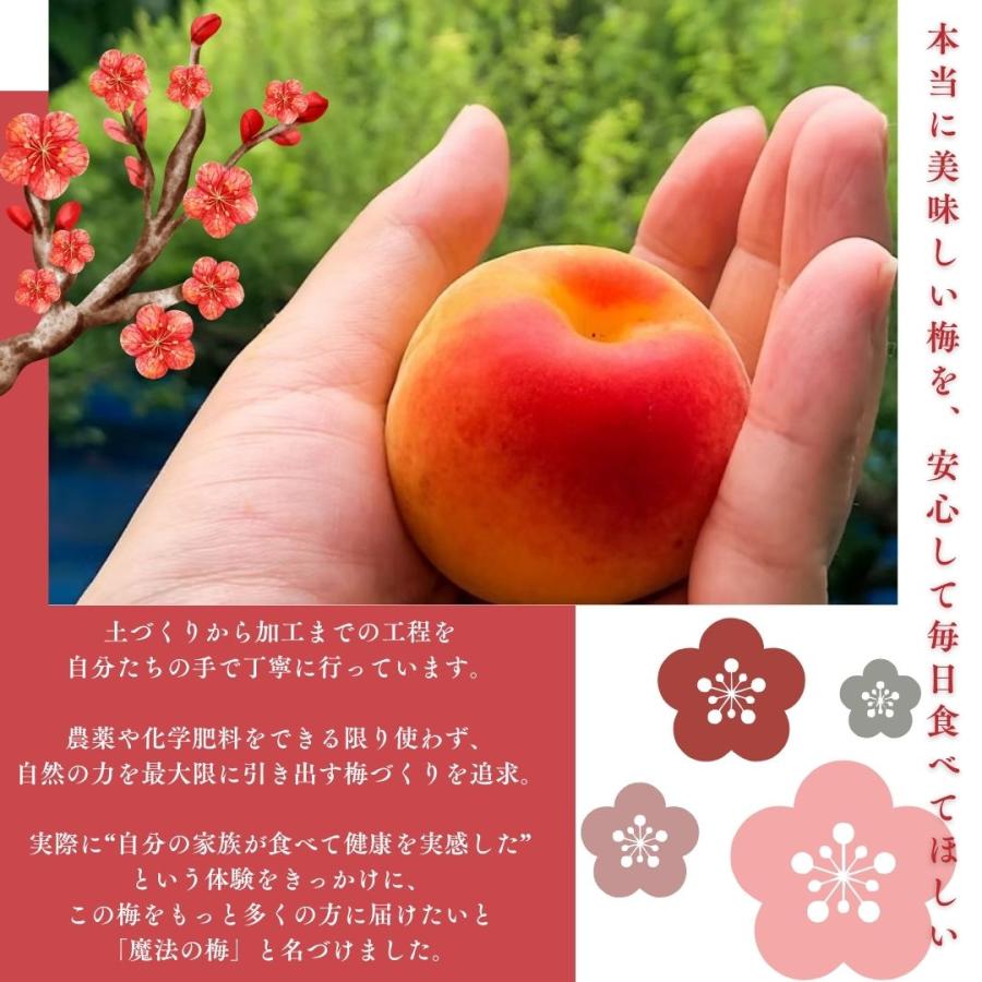 梅干し 無添加 魔法の梅 塩分25％ 1.1kg 和歌山県産 白干し梅 南高梅 産地直送 お取り寄せ ギフト_4