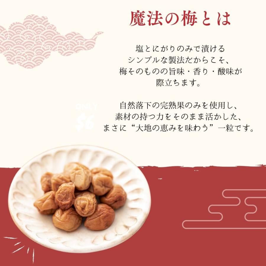 梅干し 無添加 魔法の梅 塩分25％ 1.1kg 和歌山県産 白干し梅 南高梅 産地直送 お取り寄せ ギフト_5