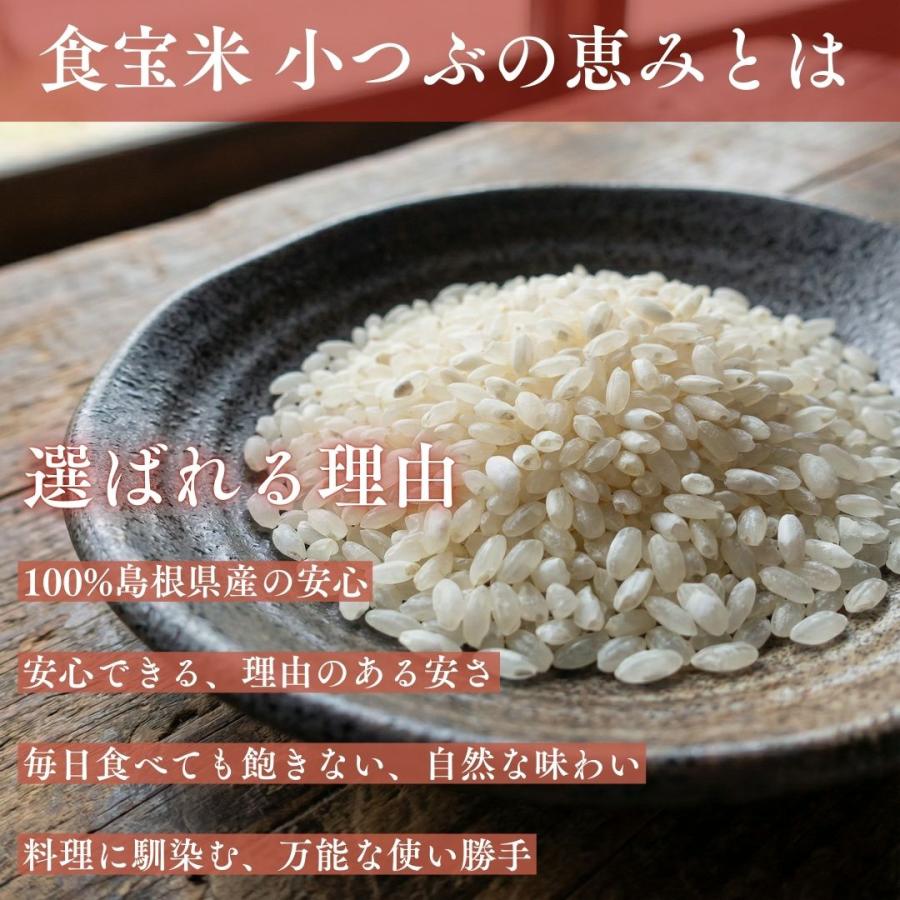米10kg 新米 令和7年 国産 島根県 食宝米 小つぶの恵み 食べやすい 
