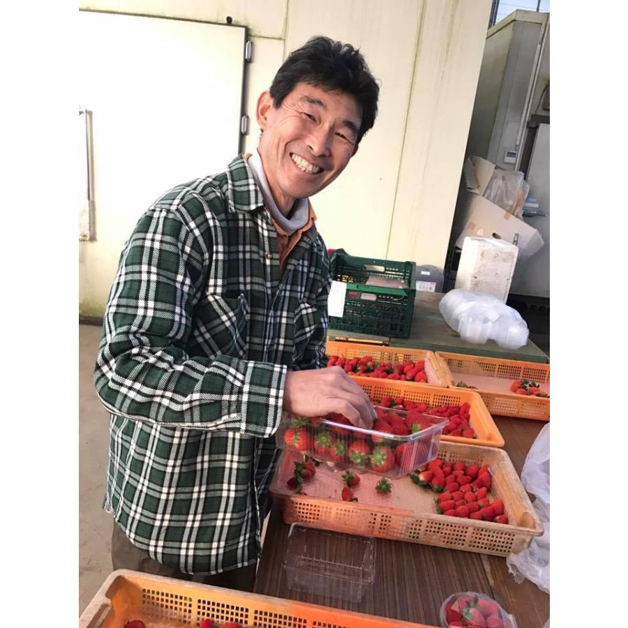 農家さんを応援】採れたてイチゴ1パック＋希少品種の白イチゴ1パック