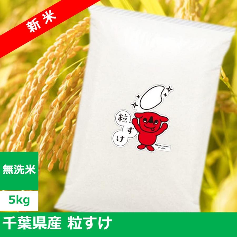 2024年産(令和6年産)千葉県新品種米 粒すけ 5kg【無洗米5kg×1 2024年産(令和6年産)千葉県新品種米 粒すけ 5kg【無洗米5kg×1