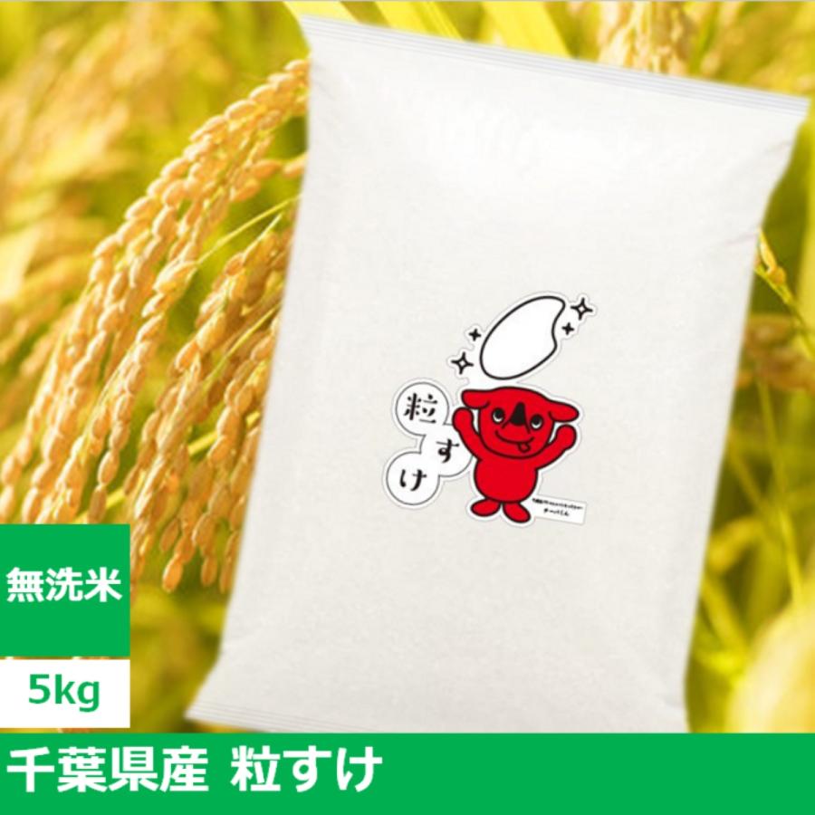 2025年産（令和7年産）千葉県新品種米 粒すけ 5kg【無洗米5kg×1袋 