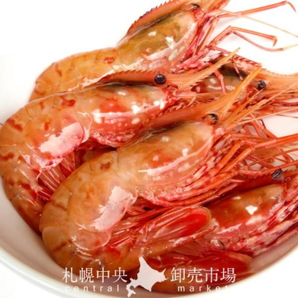 70 Off 船凍ボイルぼたん海老セット K 05 ボタン海老 刺身用 北海道ギフト ギフト ロシア産 母の日 父の日 Wantannas Go Id