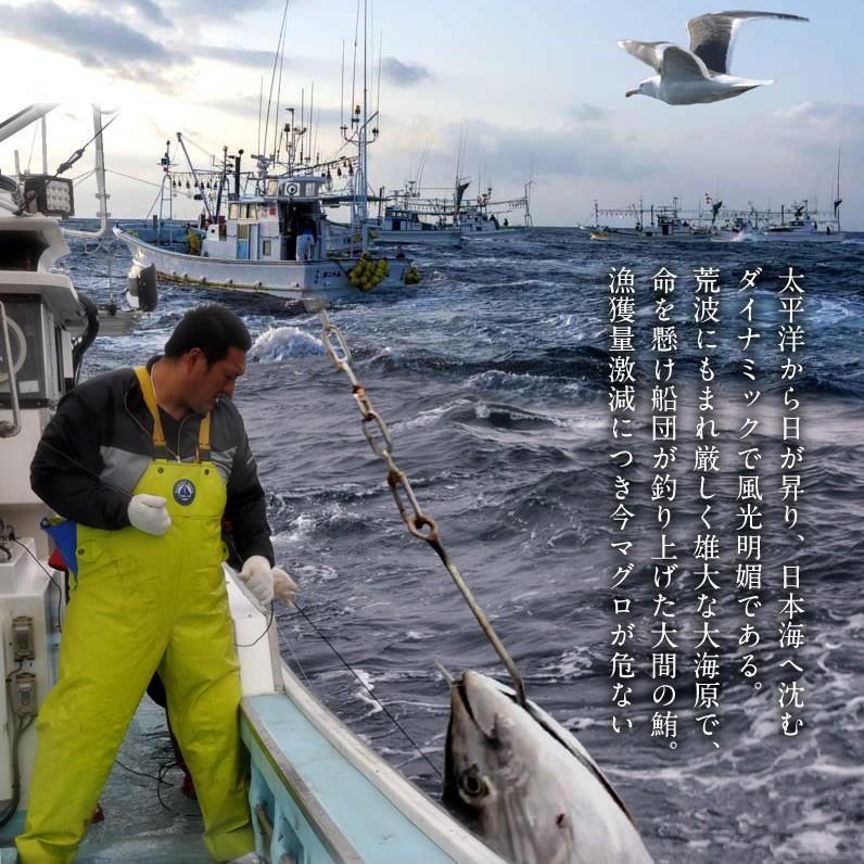 まぐろ大間産 天然本マグロ 赤身 0g 3柵 大間のまぐろ 一本釣り 生まぐろ 刺身用 大間港直送 ギフト 御歳暮 ギフト 11 Maguro A3 食紀行 Japanfood 通販 Yahoo ショッピング