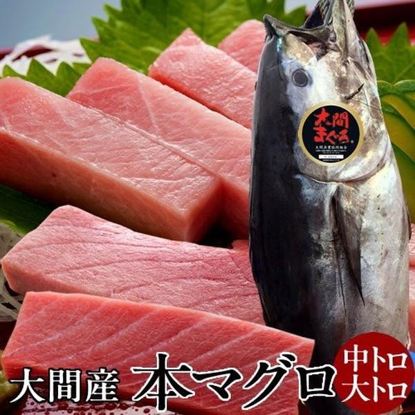 円 殿堂 まぐろ大間産 天然本マグロ 中トロ 大トロセット 各0 大間のまぐろ 一本釣り 生まぐろ トロ 刺身用 大間港直送 父の日 ギフト