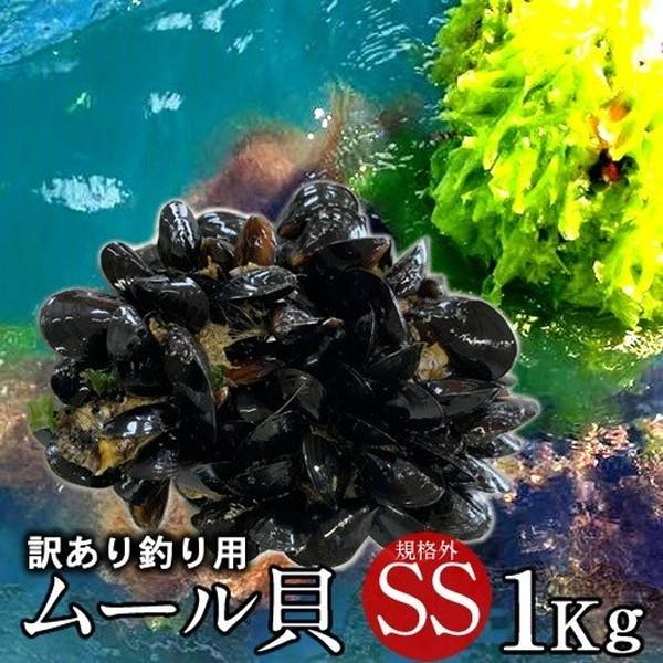 食紀行 Japanfoodムール貝 訳あり 活ムール貝 Ss 1kg 殻付き 三陸 朝どり 釣り餌用 えさ用 チヌ タイ 石鯛 磯釣り 魚のエサ 通販 人気 超可爱の