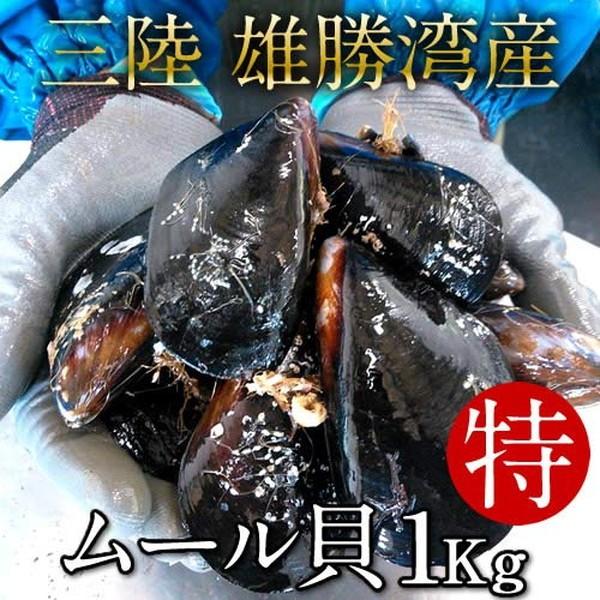 玄関先迄納品 ムール貝 活ムール貝 特大 1kg 殻付き 生ムール貝 三陸 朝どり 通販 人気 ランキング ギフト wantannas.go.id 玄関先迄納品 ムール貝 活ムール貝 特大 1kg 殻付き 生ムール貝 三陸 朝どり 通販 人気 ランキング ギフト wantannas.go.id