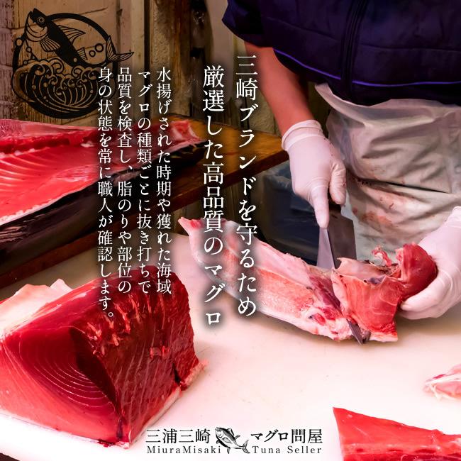 送料0円 天然メバチまぐろ 中トロ赤身詰合せ ふるさと納税 三浦市 マグロ 送料0円 天然メバチまぐろ 中トロ赤身詰合せ ふるさと納税 三浦市 マグロ