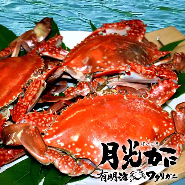 わたりがに 有明海 ワタリガニ 月光かに 1kg 3尾入 生 渡り蟹 熊本県上天草市串港 ガザミ ガネ カニ漁師 活〆冷凍 送料無料 プレゼント ギフト 御歳暮 30 Wkani10 食紀行 Japanfood 通販 Yahoo ショッピング