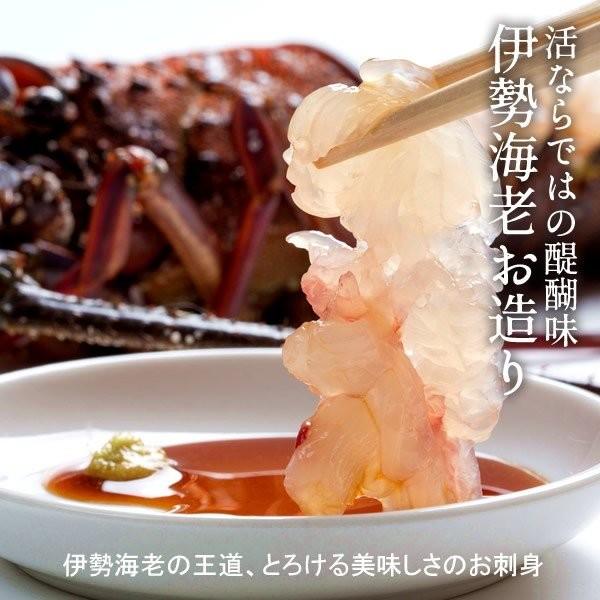 【まとめ売り】 伊勢海老 刺身 生きたまま 約200g×5尾 活伊勢エビ 本場三重県産 いせえび 志摩波切漁港 生簀活魚 産地直送［お歳暮 2023 ギフト 御歳暮］ 【1836950712】(11000円)