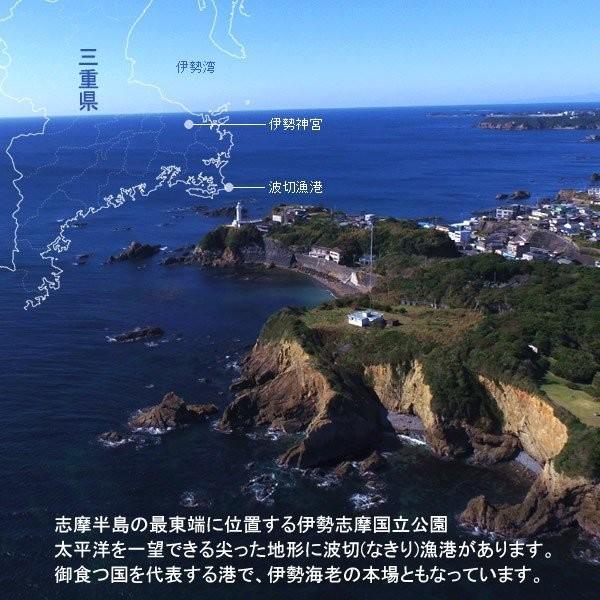 【まとめ売り】 伊勢海老 刺身 生きたまま 約200g×5尾 活伊勢エビ 本場三重県産 いせえび 志摩波切漁港 生簀活魚 産地直送［お歳暮 2023 ギフト 御歳暮］ 【1836950712】(11000円)