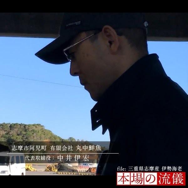 【まとめ売り】 伊勢海老 刺身 生きたまま 約200g×5尾 活伊勢エビ 本場三重県産 いせえび 志摩波切漁港 生簀活魚 産地直送［お歳暮 2023 ギフト 御歳暮］ 【1836950712】(11000円)