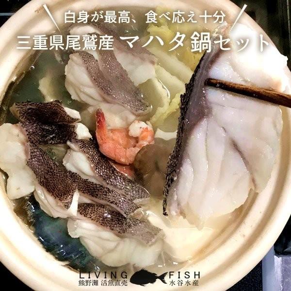 マハタ 鍋セット 三重県尾鷲産 活魚養殖場 幻の高級魚 白身魚の最高峰 まるごと1尾 通販 人気 プレゼント 食べ物 ギフト 父の日 ギフト 37 Mahata N 食紀行 Japanfood 通販 Yahoo ショッピング