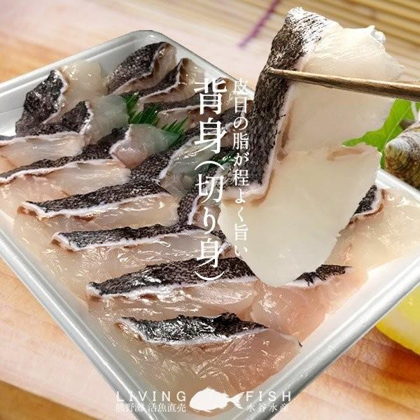 マハタ 鍋セット 三重県尾鷲産 活魚養殖場 幻の高級魚 白身魚の最高峰 まるごと1尾 通販 人気 プレゼント 食べ物 ギフト 父の日 ギフト 37 Mahata N 食紀行 Japanfood 通販 Yahoo ショッピング