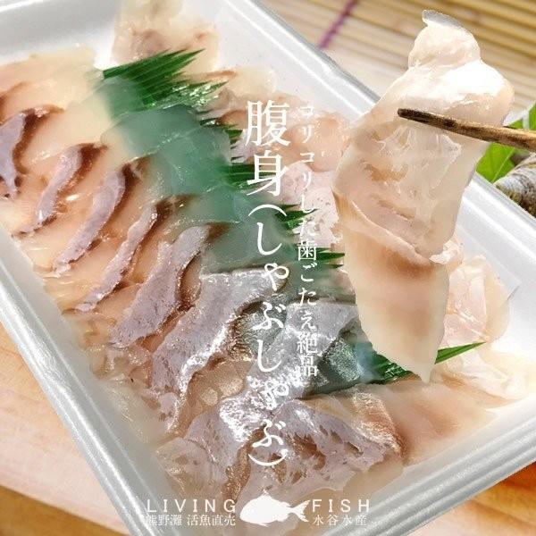 マハタ 鍋セット 三重県尾鷲産 活魚養殖場 幻の高級魚 白身魚の最高峰 まるごと1尾 通販 人気 プレゼント 食べ物 ギフト 父の日 ギフト 37 Mahata N 食紀行 Japanfood 通販 Yahoo ショッピング